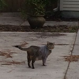 Meet your Posher, Ella